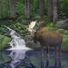 Woodland Moose