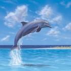 Blue Water Dolphin