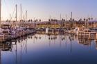 Marina Reflected