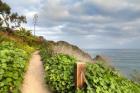 La Jolla Walk