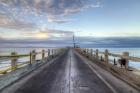 Carpinteria Pier View I