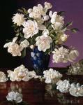 White Peonies in Blue Chinese Vase