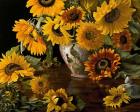 Sunflowers in a White Chinese Vase