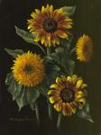 Four Sunflowers