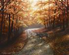 Autumn Bliss