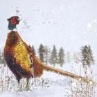 Christmas Pheasant