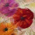 Penchant For Poppies I