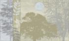 Tree Language II