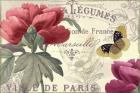 Petals of Paris V