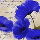 Coquelicots Bleues I