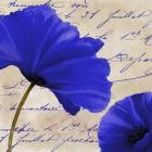 Coquelicots Bleues II