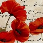 Coquelicots Rouge I