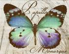 Papillon I