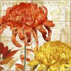 Chrysanthemes I