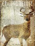 Winter Game Two