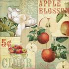 Apple Blossoms I