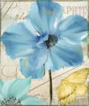 Blue Mountain Poppy