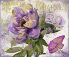 Purple Peony