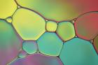 Stained Glass I