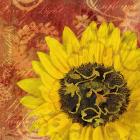 Sunflower - Love of Light