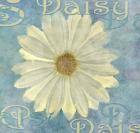 Daisy