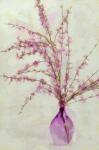 Pink Broom in Glass