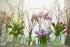 Spring Flowers in Glass Bottles III