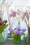 Spring Flowers in Glass Bottles V