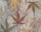 Autumn Leaves Maple