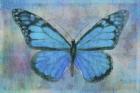 Blue Butterfly Watercolor