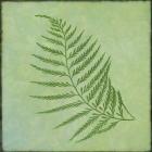 Fern Series Vintage I