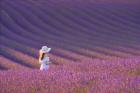 Girl in Lavender Field