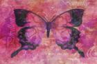 Pink Butterfly