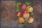 Apples - Fruit Series