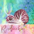 Radicchio - Italian Chicory