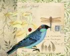 Post Card Birds I