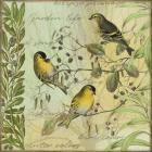 Tree Birds I Siskins