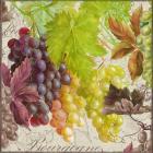 Vintage Fruits II Grapes