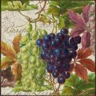 Vintage Fruits III Grapes