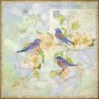 Blue Birds on Blossem Branch