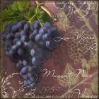 Blue Vines Black Muscat