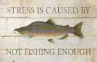 Stress and Fishing