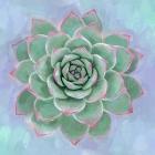 Succulent Painting