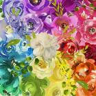 Flower Rainbow