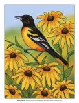 State Birds And Flowers MD