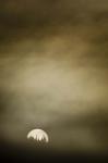 Wild Moon I