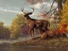 Deer On An Autumn Lakeshore