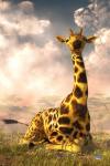 Sitting Giraffe