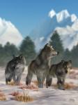 Three Wolves