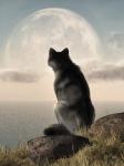 Wolf Watching The Moonrise